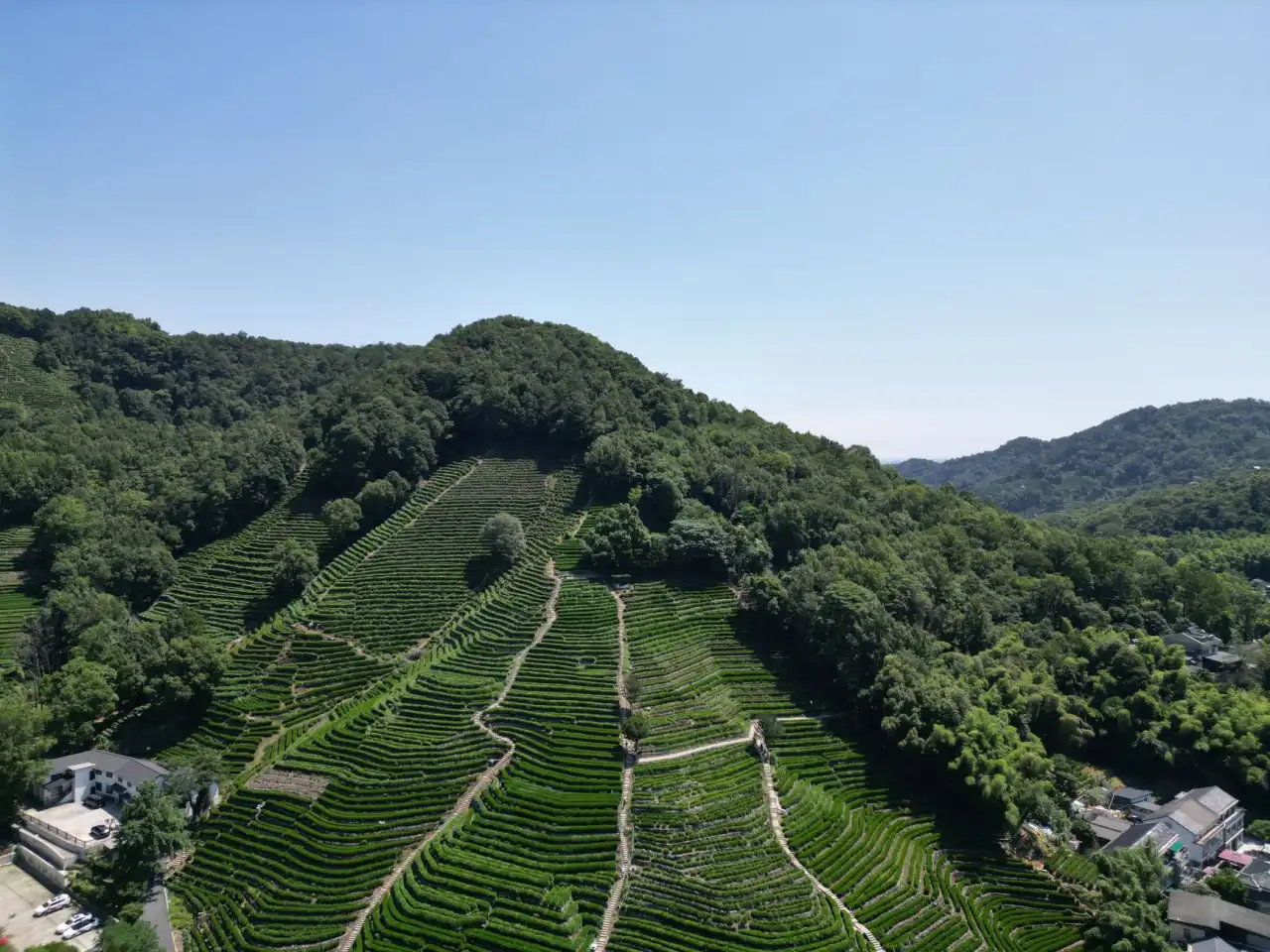 2025年山西食品饮料批发市场渠道变革与选品策略分析