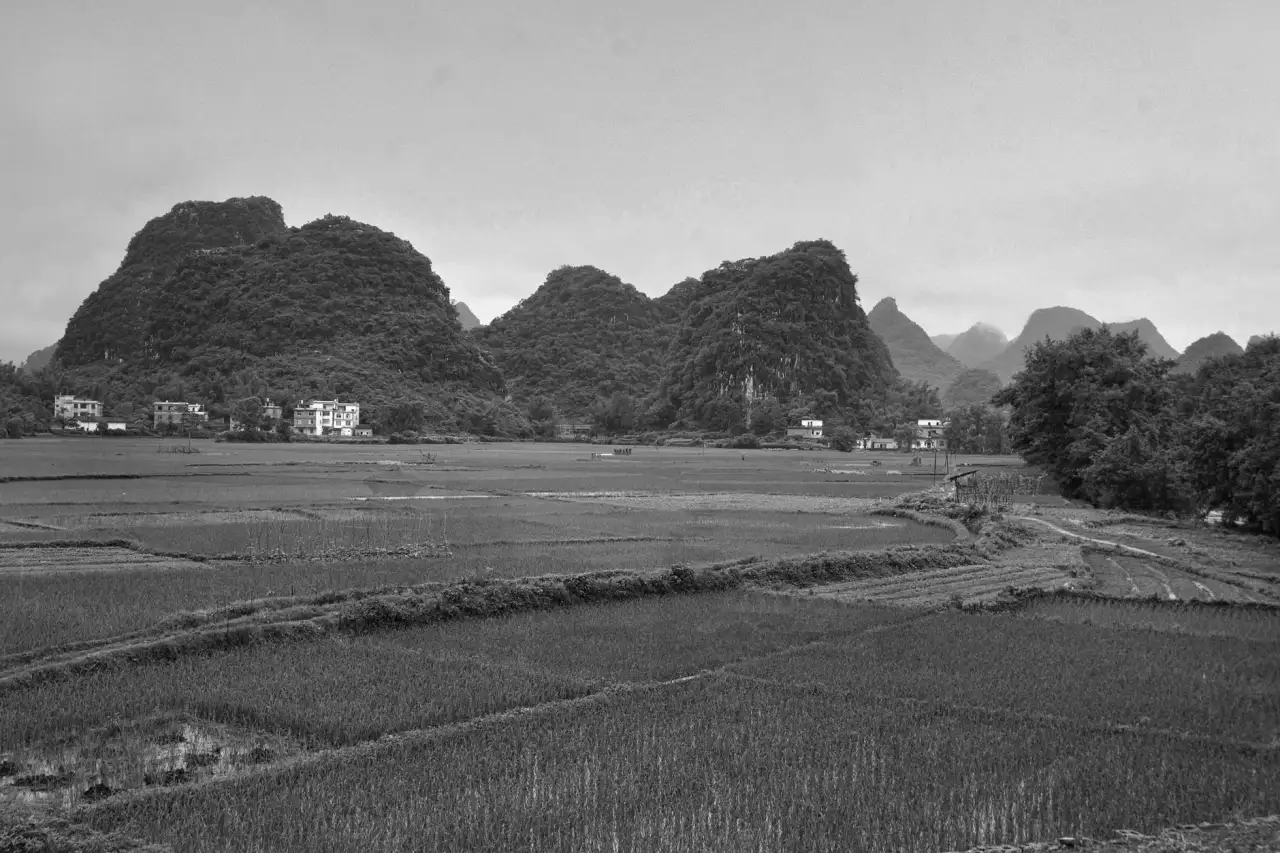 2024年华北地区酒水批发市场趋势与休闲食品采购策略