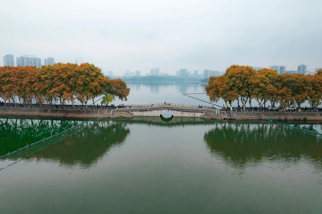 山西酒水批发市场趋势分析：2024年选品与采购策略
